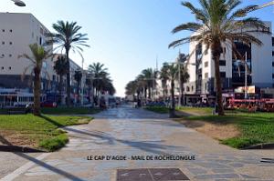 2020 08 15 CAP D AGDE - LA GRANDE CONQUE (3)